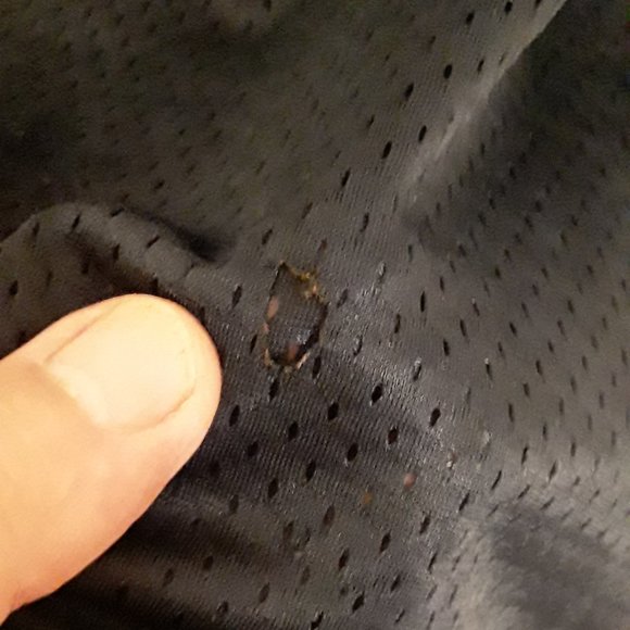 Authentic Roy Williams Dallas Cowboys #31 Jersey - Picture 5 of 5